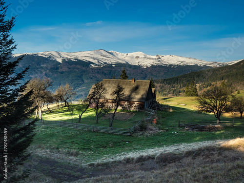 mountains in spring. Carpathians Ukraine
