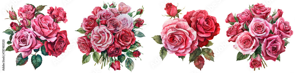 Obraz premium Collection of pink and red color rose flowers bouquet watercolor cutout png isolated on white or transparent background 