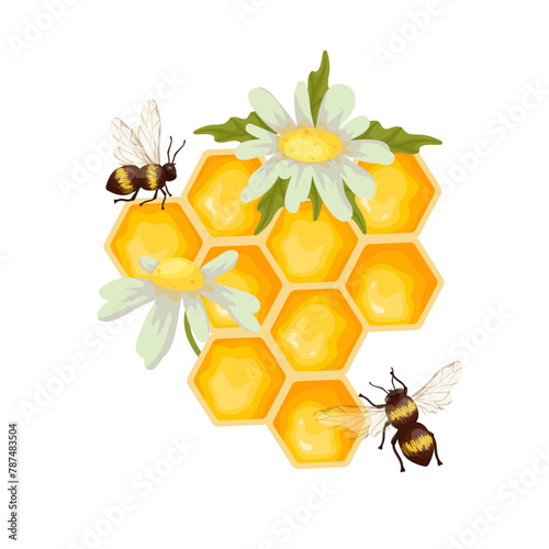 Honeycomb with honey bees and chamomile flowers .Cartoon vector graphic.