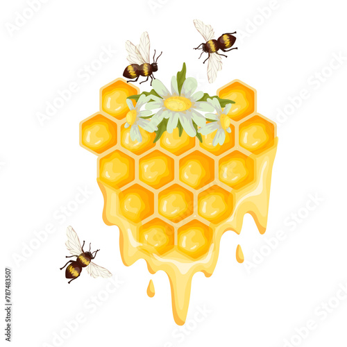 Honeycomb with honey bees and chamomile flowers .Cartoon vector graphic.