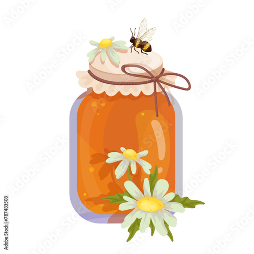 Jar of honey with wild chamomile flowers and honey bees.Vector graphics.