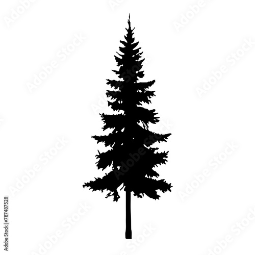 Pine Tree Silhouette Vector Clipart	