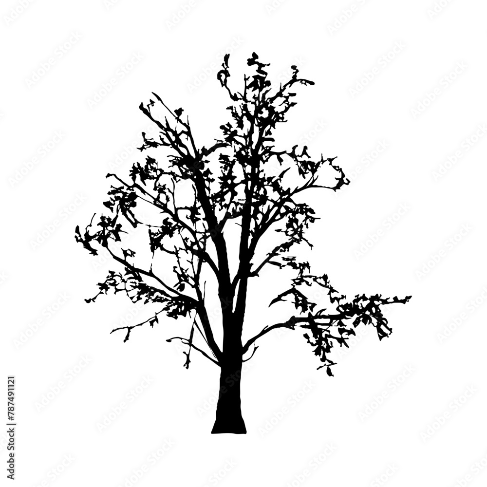 Tree Silhouette Vector Clipart. Tree Silhouette Vector Clipart.
