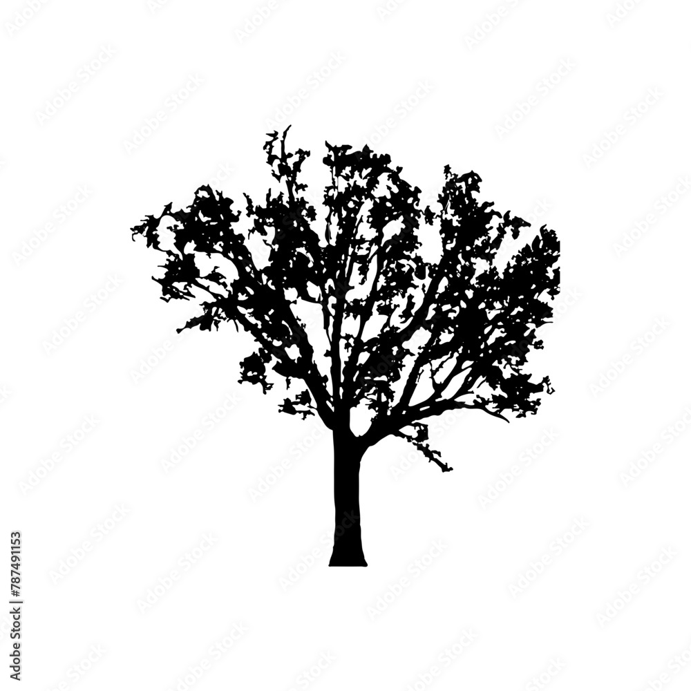 Obraz premium Tree Silhouette Vector Clipart.