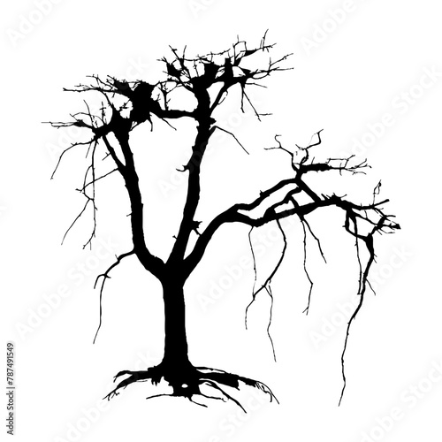 Tree Silhouette Vector Clipart.