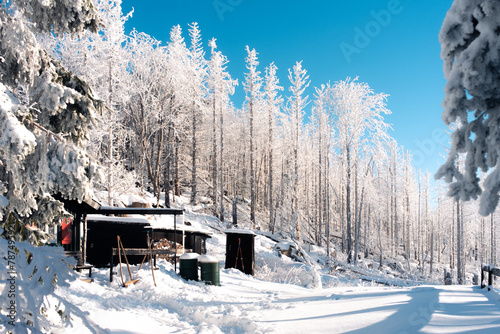 Kaiserwetter Winterlandschaft im Harz