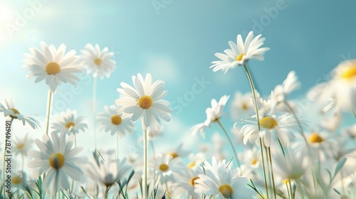 Beautiful blooming chamomile of wildflower on nature meadow. AI generated image