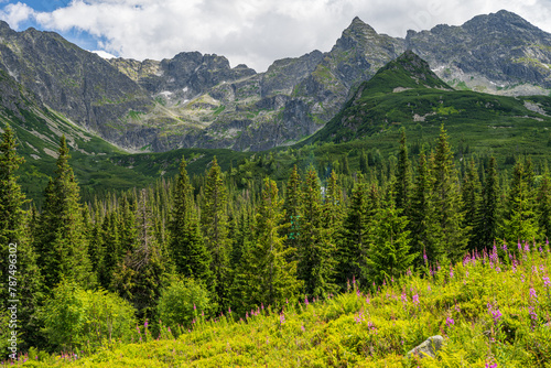 Summer mountain panorama from Hala Gasienicowa