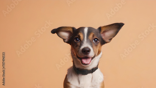 Cute dog on pale orange background. Space for text