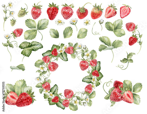 Strawberries watercolor clipart. Strawberry isolated, composition with  leaves and flowers on transparent  background. Hand painted realistic illustration for tea, jam or natural cosmetics label © Nataliya Kunitsyna