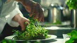 A chef carefully sprinkles fresh herbs from his garden onto a plate of food, adding the finishing touch to a delicious meal, ready to be served.