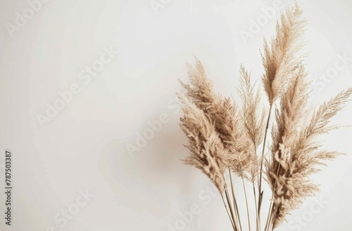 Vase Filled With White Flowers