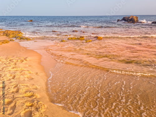 Landscape in a beach in Hammamet, Tunisia