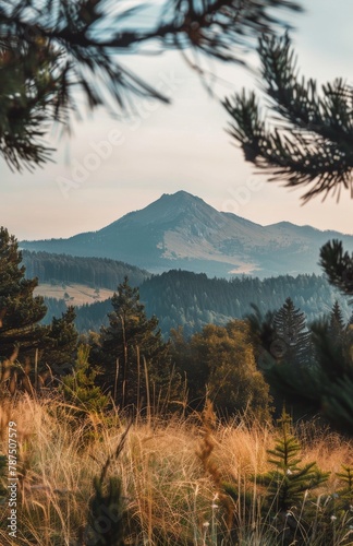 Mountain View Through Trees