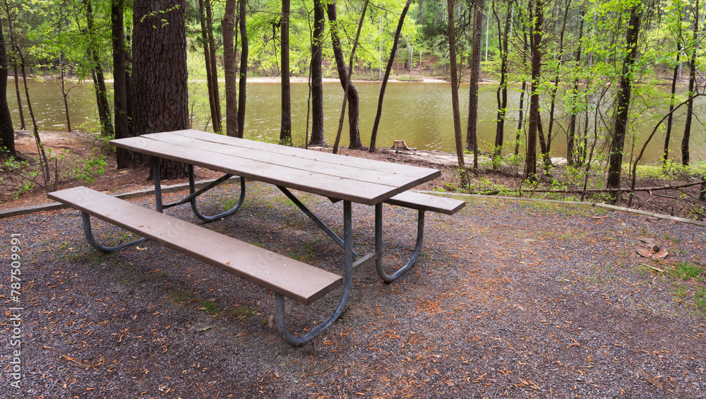 Empty picnic bench near a body of water Empty picnic bench near a body of water