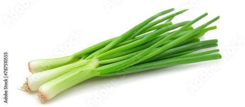 Green scallion isolated on a white background.