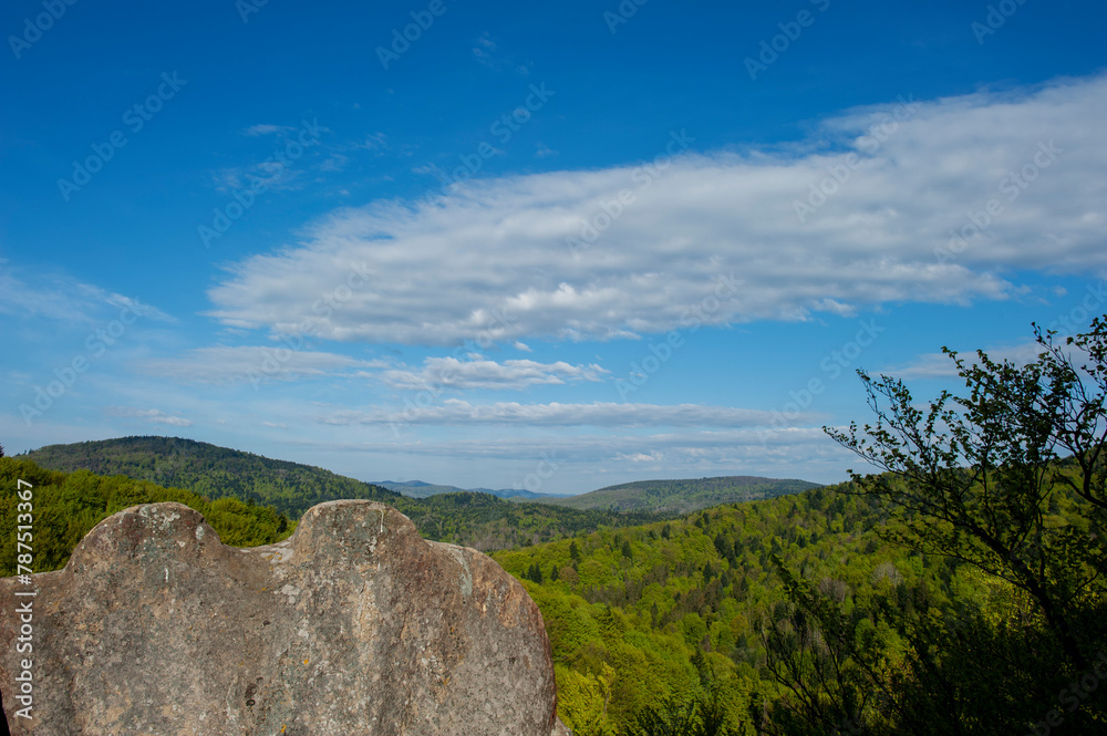 A beautiful panorama of rocks and young trees from the top of the National Reserve. Spring in the morning forest.
