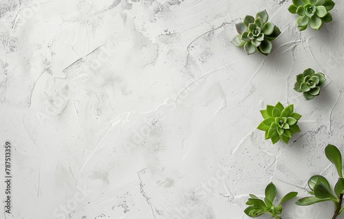 Group of Plants on Table