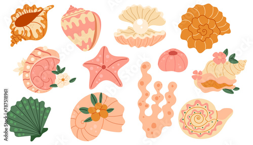 Set of seashells and starfishes. Pearl corral and snail shells. Sea life elements. Vector illustration sea set for poster, card, scrapbooking , stickers.