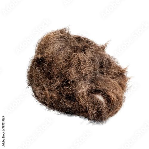 A lump of cat hair . Isolated on transparent background.