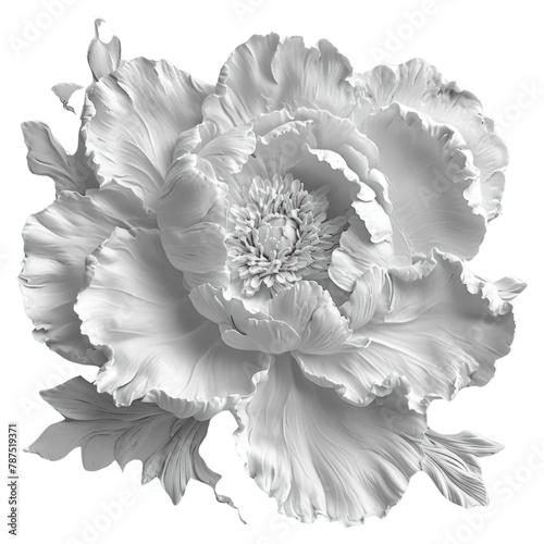 PNG Bas-relief a peony sculpture texture white flower plant.