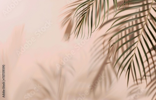 Palm Tree Against Pink Wall