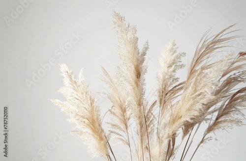 Vase Filled With White Flowers