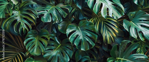 Close Up of a Lush Green Plant With Abundant Leaves