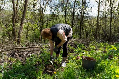 Woman planting a young chestnut tree in an area where the forest has been cut down, on a sunny spring day, concept of reforestation