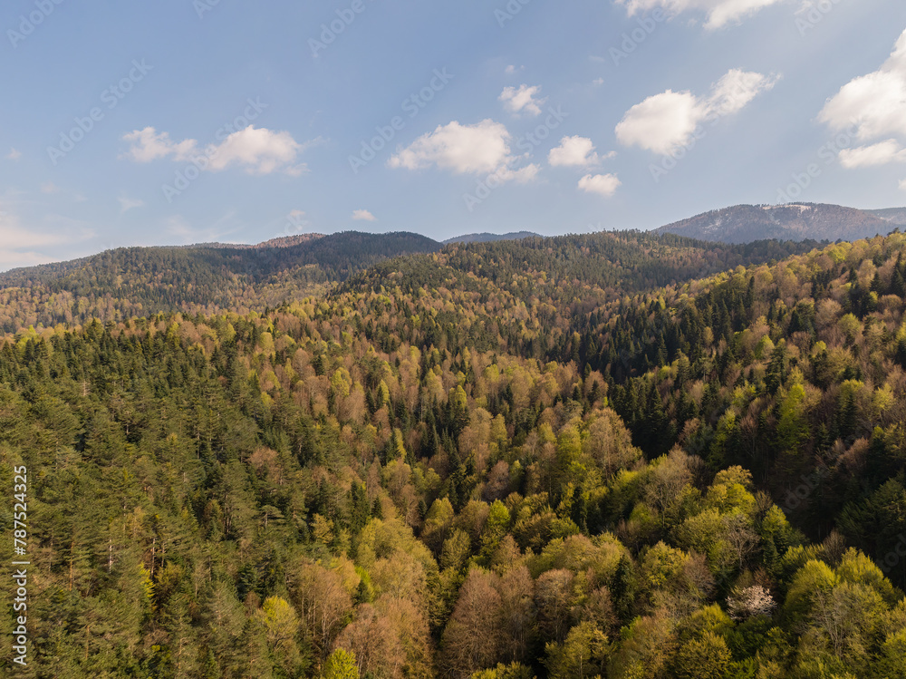 Aerial view of the woodland landscape with different colour tones in spring season. Mezit, Inegol, Bursa, Turkey.