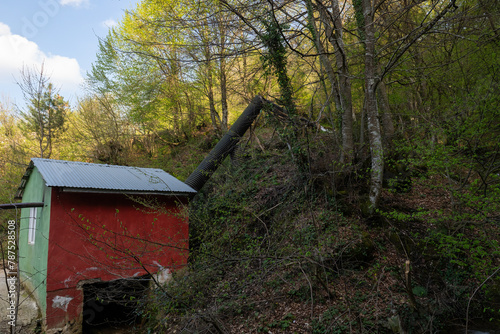 Water mill in the forest in nature. photo