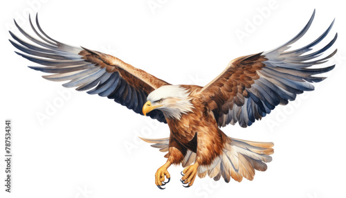 PNG Eagle bird animal flying beak. photo