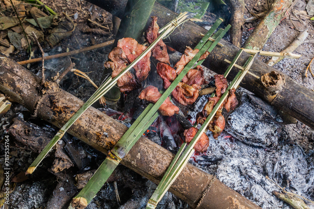 Smoked meat being prepared in the forest of Nam Ha National Protected Area, Laos