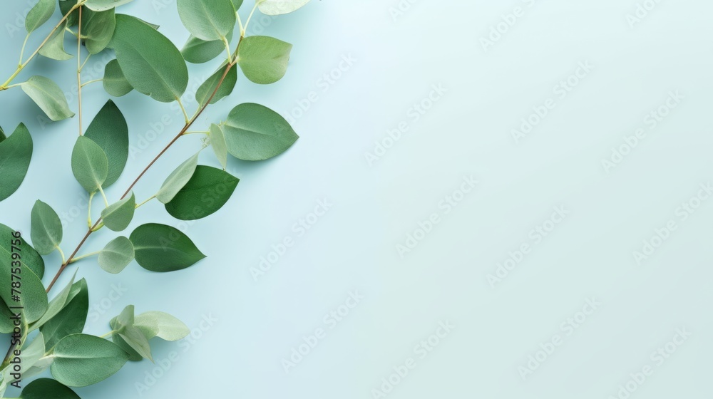 Flat lay composition with branch of fresh eucalyptus leaves and space for design on table background banner, top view (2) - obrazy, fototapety, plakaty 