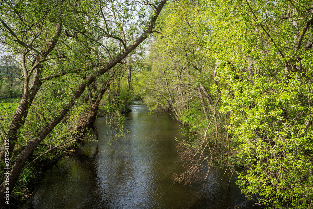 Ein Fluss fließt durch den grünen Wald im Harz