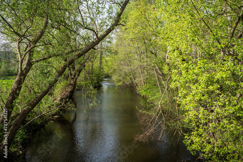 Ein Fluss flie  t durch den gr  nen Wald im Harz