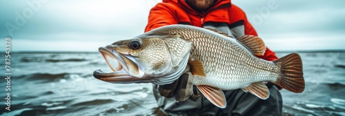 The Fishers Triumph photo