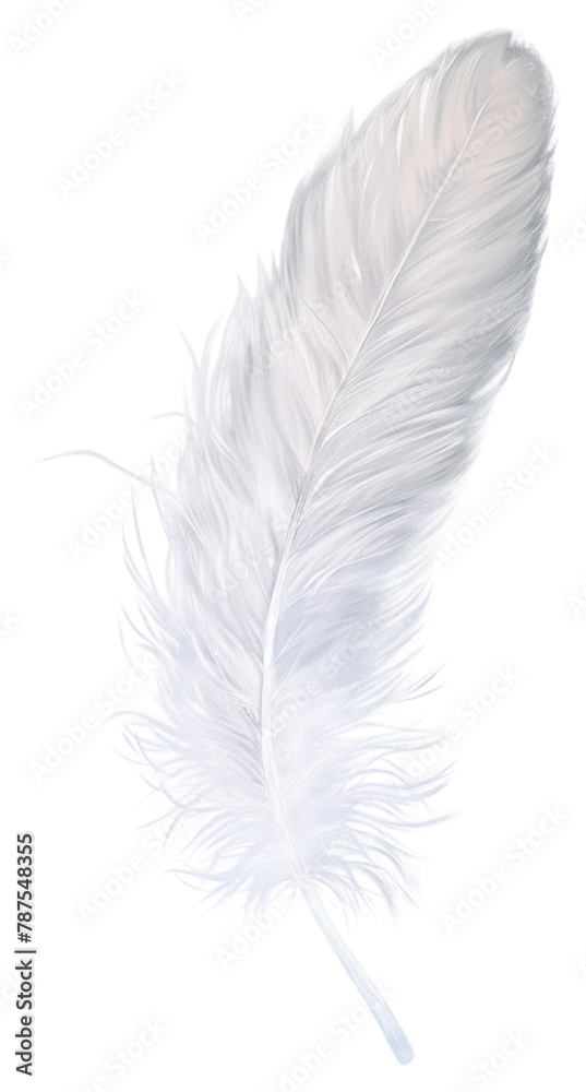 Fototapeta premium PNG Feather lightweight creativity fragility.