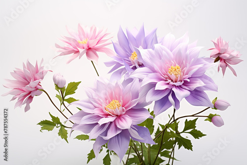 Flowers on white background. Topics related to flowers. Jobs related to flowers. Flower news. Spring and summer season. Image for graphic designer.