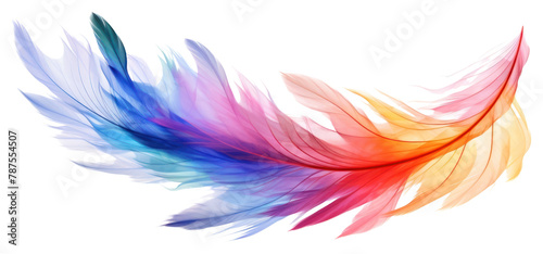 PNG Rainbow feathers pattern flying white background