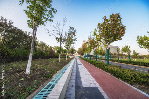 Urban Bike Lane and Walking Path in Green City Park photo