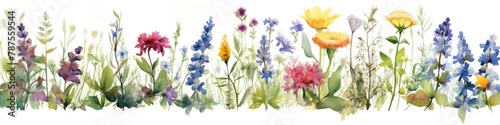 border. garland. wildflowers. nature. field, . decoration of the nursery. frame © Al