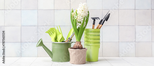 Composition with watering can  gardening tools and hyacinth flower on table against white background