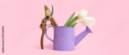 Watering can with pruners and tulip flowers on pink background photo