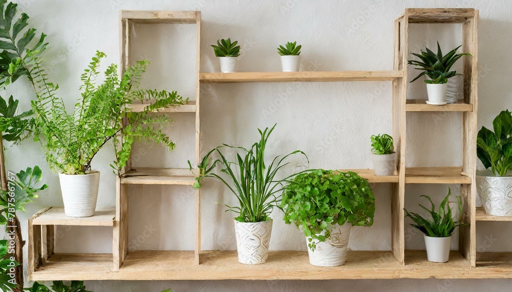 White wall with wooden shelves with many green plants in pots. Home interior natural decorating style. White wall with wooden shelves with many green plants in pots. Home interior natural decorating style.