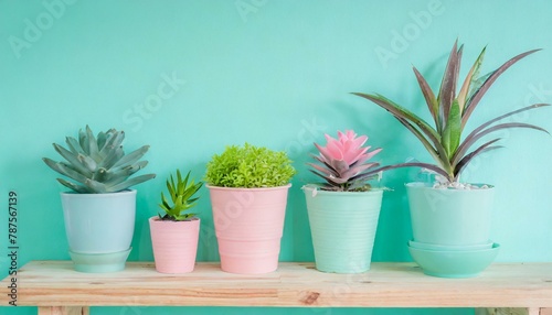 Room wall with wooden shelves with many green plants in pots. Pastel turquoise and pink colours. Home interior natural decorating style. 
