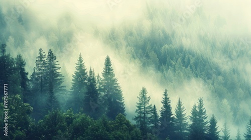 Beautiful scene misty foggy fir forest in morning hipster landscape. AI generated image