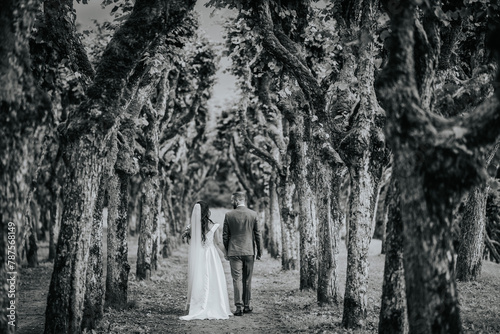 Valmiera, Latvia- July 28, 2024 - A bride and groom walk hand in hand along a tree-lined path, viewed from behind, creating a romantic, tranquil scene.