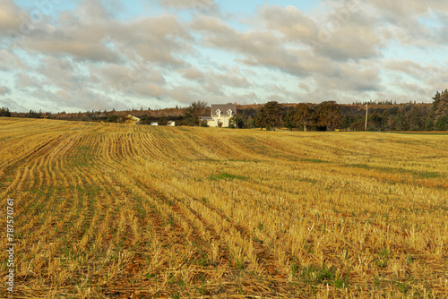 Hay Field after Harvest, Rustico, Prince Edward Island, Canada