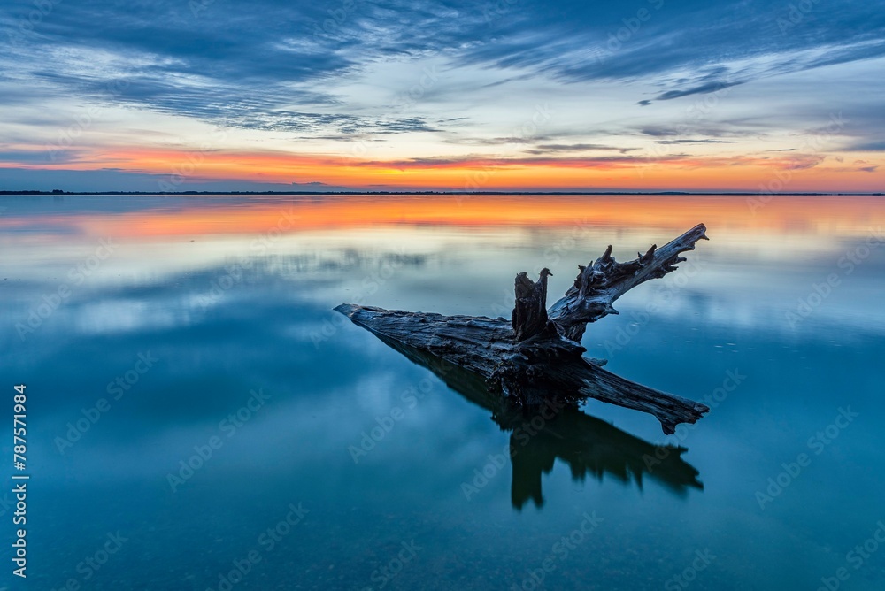 Tree trunk in water, sunset, backwater, Usedom, Mecklenburg-Western Pomerania, Germany, Europe Tree trunk in water, sunset, backwater, Usedom, Mecklenburg-Western Pomerania, Germany, Europe